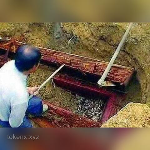 400年历史金丝楠木老屋焚毁事件深度解析